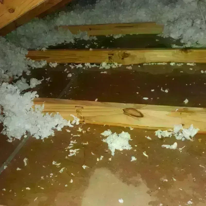 Attic Water Damage in Mehlville, MO