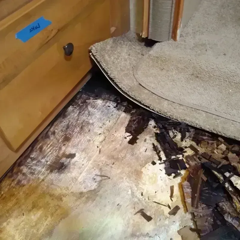 Best Wood Floor Water Damage Service in Mehlville, MO